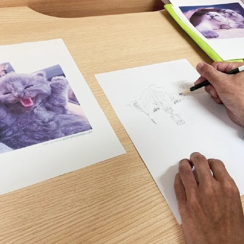 猫のファインアートを鉛筆で丁寧に描く利用者さん