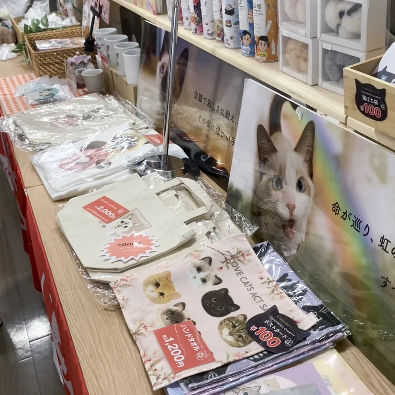 保護猫用のアイテムの販売