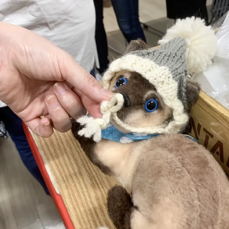保護猫用ペットウェア