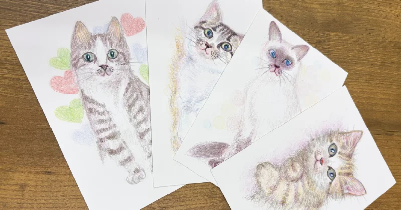 色鉛筆で描かれた猫のファインアートが示す、ものづくりのプロセス