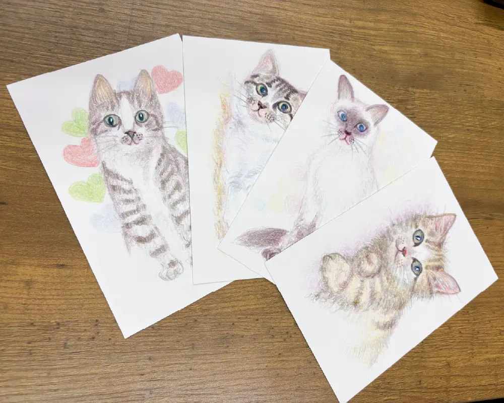 色鉛筆で描かれた4匹の猫、各々の個性が光る