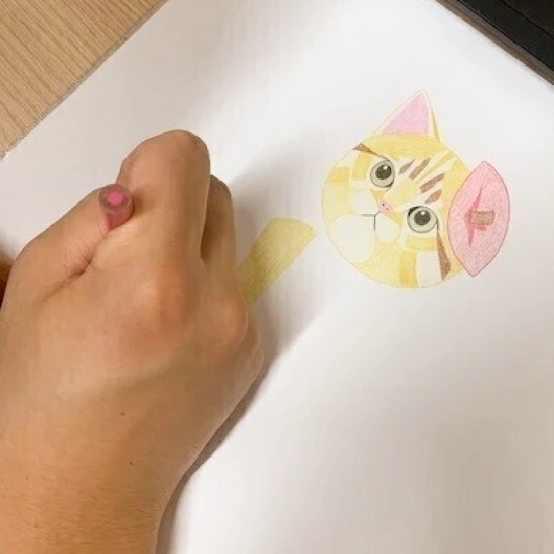 色鉛筆で描かれた猫のイラストを制作中
