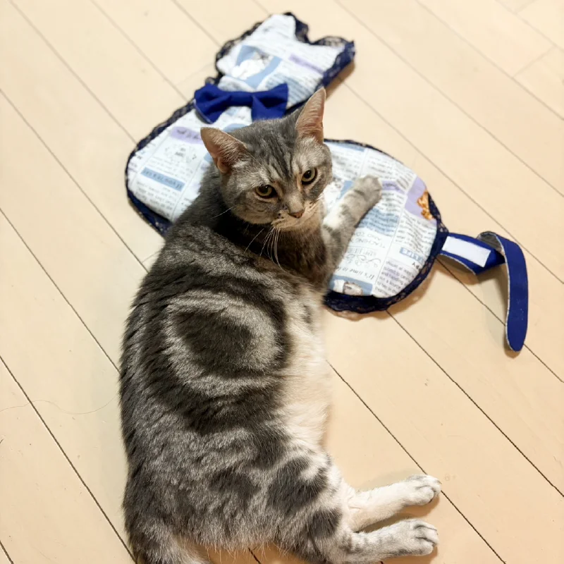 利用者さんが制作した猫用ソファの全体像。