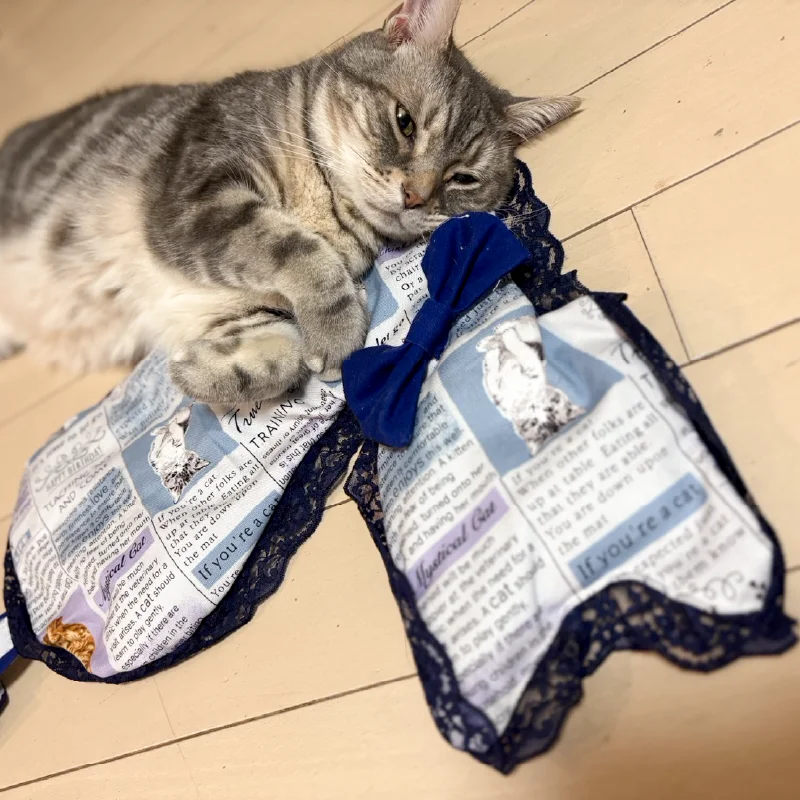 猫が猫用ソファでリラックスしている姿。